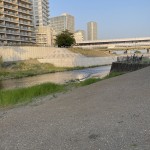 img_3898-1.jpg